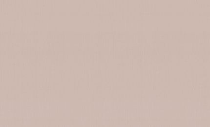 PALITRA LIFE PL72947-22