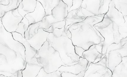 PALITRA LIFE PL71891-14