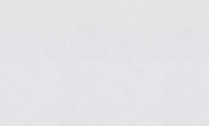 PALITRA LIFE PL71892-65