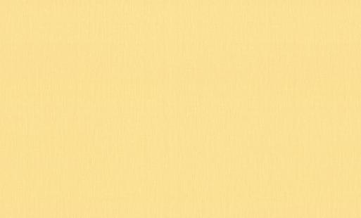 PALITRA LIFE PL71947-33