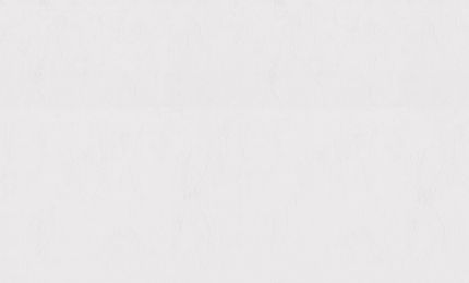 PALITRA LIFE PL71892-42