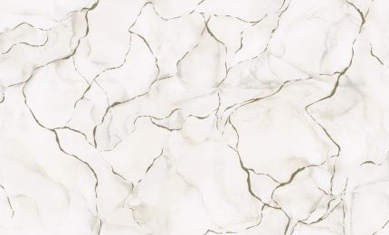 PALITRA LIFE PL71891-12