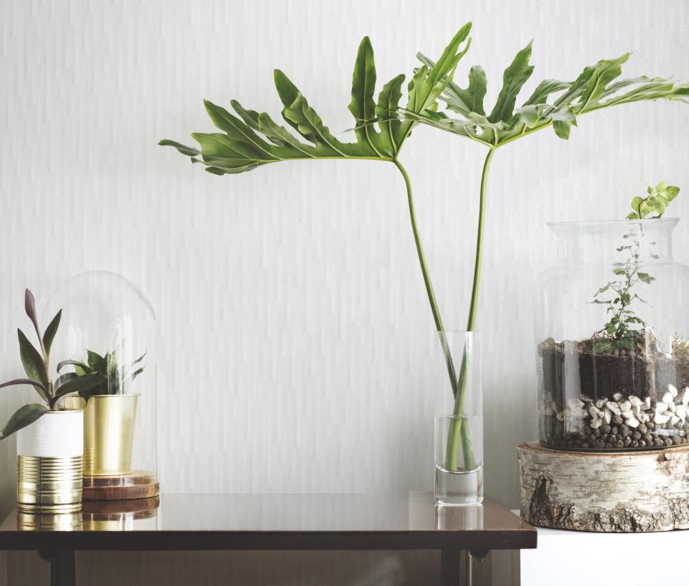 Вертикали ПРО / Vertikali PRO