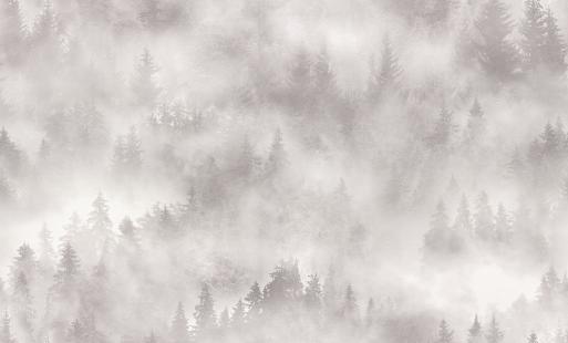 PALITRA HOME HC71960-21