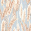 VV72086-62 VV72086-62 Cortaderia