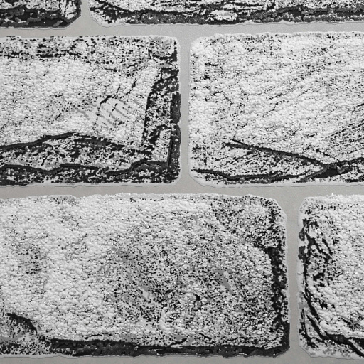 Макрофото текстуры обоев для стен 1363-14