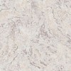 PL72824-25 