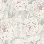 HC31225-15a PROTECT-ROSES