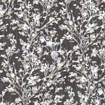 PL71632-44 Champagne