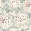 HC31225-65a PROTECT-ROSES