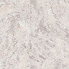 PL72824-24 