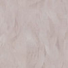 PR72674-82 PR72674-82