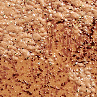 Макрофото текстуры обоев для стен 1363-58