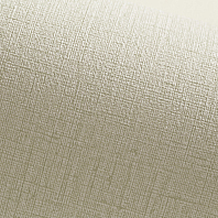 Макрофото текстуры обоев для стен TC71133-17