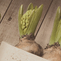 Макрофото текстуры обоев для стен PL71067-28