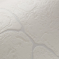 Макрофото текстуры обоев для стен N1001-11