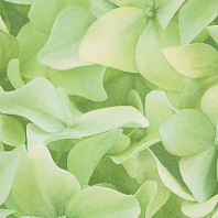 Макрофото текстуры обоев для стен 7460-77