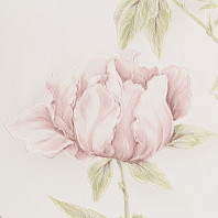 Макрофото текстуры обоев для стен HC71519-12