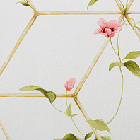 Макрофото текстуры обоев для стен TC72063-11