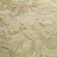 Макрофото текстуры обоев для стен 7424-77