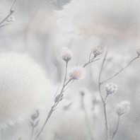 Макрофото текстуры обоев для стен PL72543-42