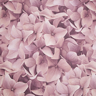 Макрофото текстуры обоев для стен 7460-58