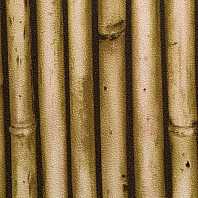 Макрофото текстуры обоев для стен PL71150-28