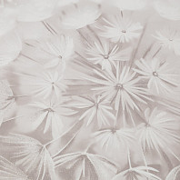 Макрофото текстуры обоев для стен HC72408-21