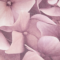 Макрофото текстуры обоев для стен 7460-58