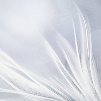 Макрофото текстуры обоев для стен SL72483-41