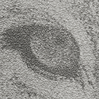 Макрофото текстуры обоев для стен 7416-14