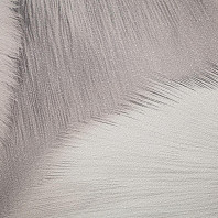 Макрофото текстуры обоев для стен HC72585-24