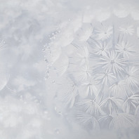 Макрофото текстуры обоев для стен HC72408-14