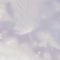 Макрофото текстуры обоев для стен HC72408-15