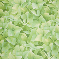 Макрофото текстуры обоев для стен 7460-77