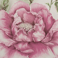 Макрофото текстуры обоев для стен HC71519-15