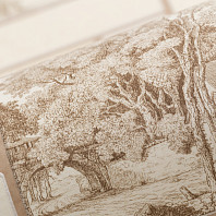 Макрофото текстуры обоев для стен HC11011-21