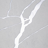 Макрофото текстуры обоев для стен HC72604-12