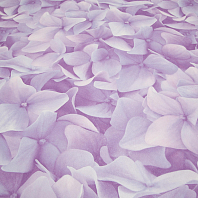 Макрофото текстуры обоев для стен 7460-65