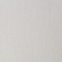 Макрофото текстуры обоев для стен PL72947-13