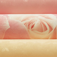 Макрофото текстуры обоев для стен 715-12