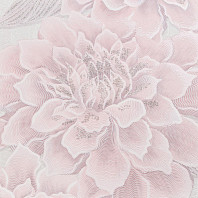 Макрофото текстуры обоев для стен HC11068-25