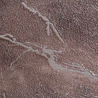 Макрофото текстуры обоев для стен PC71586-88