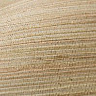 Макрофото текстуры обоев для стен FM71049-72