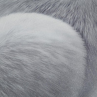 Макрофото текстуры обоев для стен HC72585-44