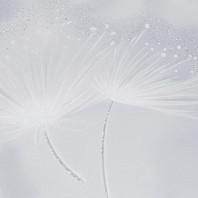 Макрофото текстуры обоев для стен HC72408-14