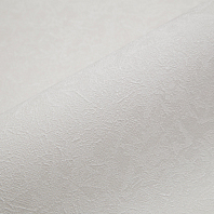 Макрофото текстуры обоев для стен FM71026-21