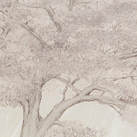 Макрофото текстуры обоев для стен HC72463-21