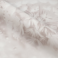 Макрофото текстуры обоев для стен HC72408-21