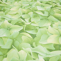 Макрофото текстуры обоев для стен 7460-77